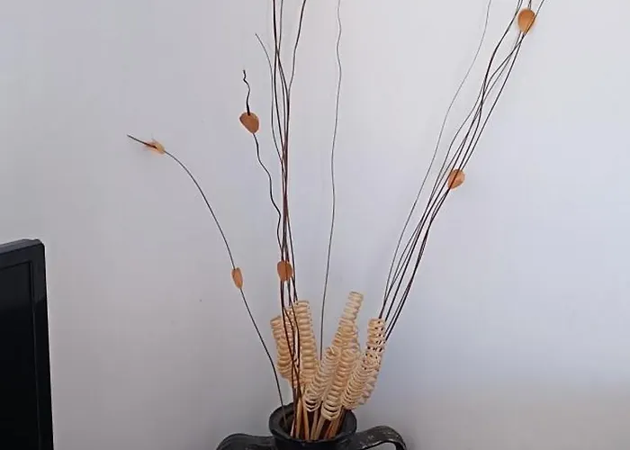 модерен в сърцето на Apartamento *